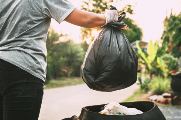 Yard Cleanup